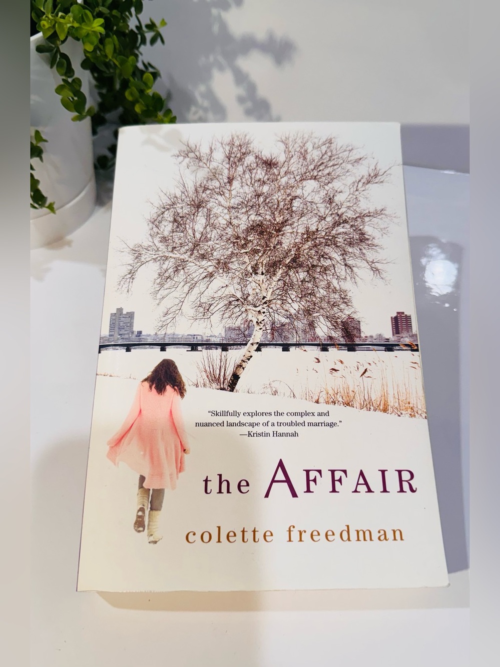 the Affair Softcover Book by Colette Freedman Good condition
